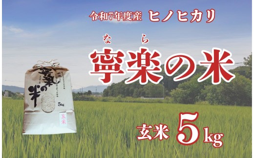 令和7年度 ヒノヒカリ 玄米 5kg 寧楽の米 数量限定 ひのひかり ご飯 ごはん 米 お米 おにぎり 農家直送 とも農園 奈良県 奈良市