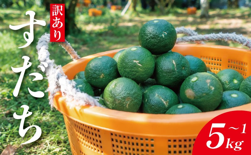 
                  訳あり すだち 1kg ～ 5kg すだち 【9月のみ発送】 徳島県産 スダチ 酢橘 ゆず レモン の代わりに 焼き魚 さんま かつお 刺身 唐揚げ そうめん お酒 に最適 徳島県 神山町 5000円 以内
                
