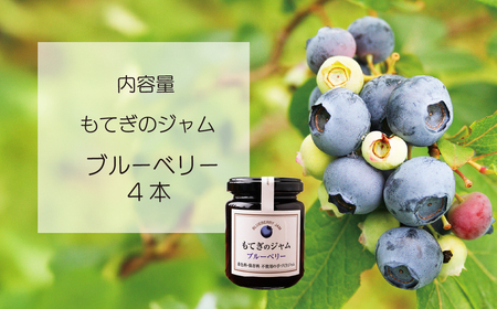 茂木産ブルーベリーを100％使用！ブルーベリージャム 160g×4本 保存料・着色料・香料不使用  | ジャム ジャム ジャム ジャム ジャム