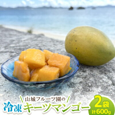 【ふるさと納税】今帰仁産 山城フルーツ園の冷凍キーツマンゴー 600g(300g×2パック)【配送不可地域：離島】【1662750】