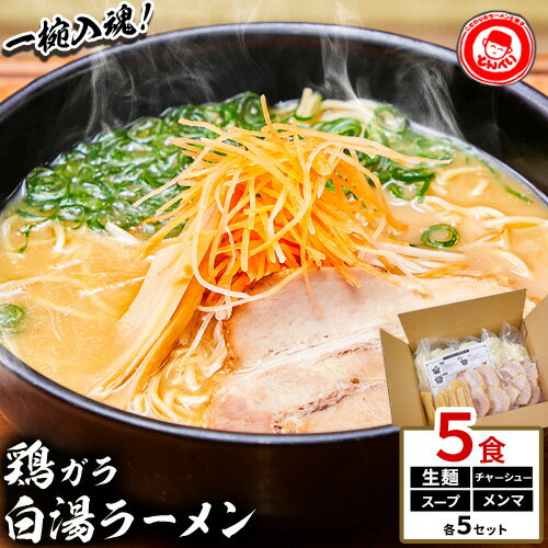 【ふるさと納税】とんぺいの生ラーメン 5食入り スープ・チャーシュー・メンマ付 とんぺい《30日以内に出荷予定(土日祝除く)》岡山県 笠岡市 ラーメン 生ラーメン 生麺 スープ チャーシュー メンマ 鶏ガラ白湯スープ 鶏ガラスープ 【配送不可地域：北海道・沖縄・離島】
