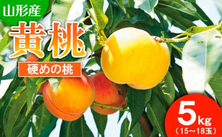 山形市産 もも(黄桃)5kg(15～18玉)[硬めの桃] 【令和7年産先行予約】FU21-820 くだもの 果物 フルーツ 山形 山形県 山形市 2025年産