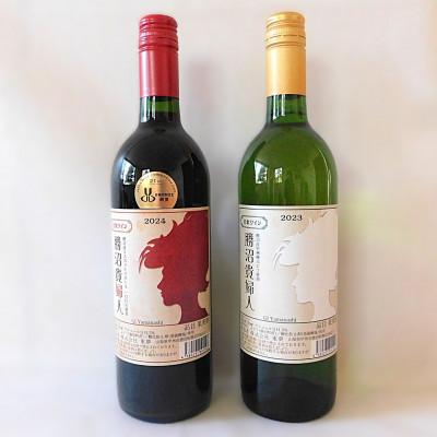 ふるさと納税 山梨県 山梨の地ワイン赤白2本セット(東夢 勝沼貴婦人) |  | 01