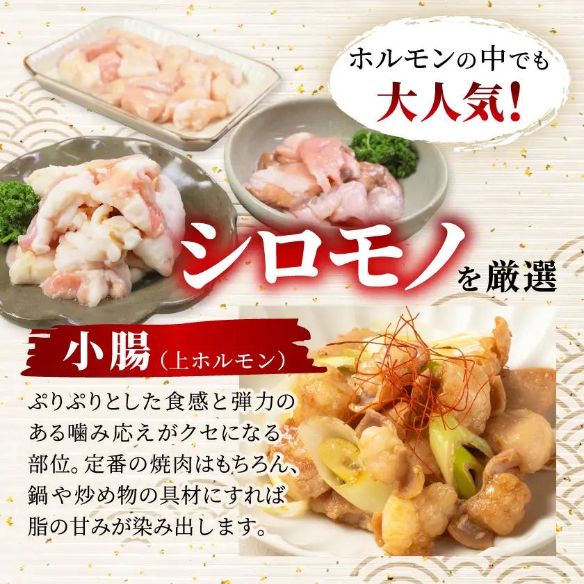 国産黒毛和牛シロホルモンセット840g A3-383枕【配送不可地域：離島】【1694678】