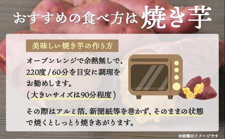 【先行受付!】【2024年12月お届け】島津甘藷　熟成紅はるか 10kg(2L～M) _AA-A701-12_(都城市) 島津甘藷 紅はるか 未選別 10kg 2L～M