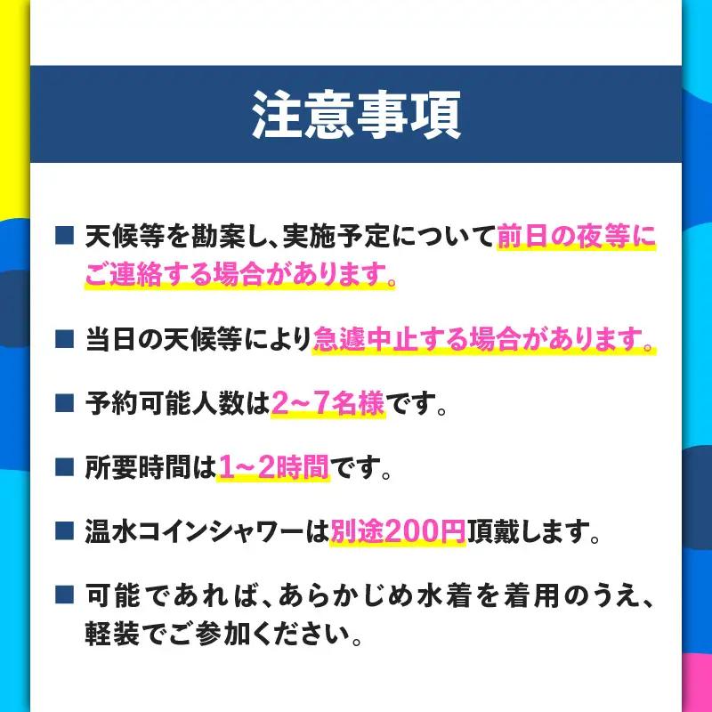 最新スポーツ「 ウィングフォイル 」体験 ペアチケット M133-001  体験 マリンスポーツ