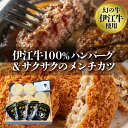 【ふるさと納税】【沖縄県産和牛】伊江牛 ハンバーグ&メンチカツセット (お徳用セット)