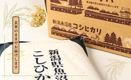 令和7年産新米 魚沼産コシヒカリ「金印」高食味米 玄米 5kg 新潟県 津南町 有限会社イタバ