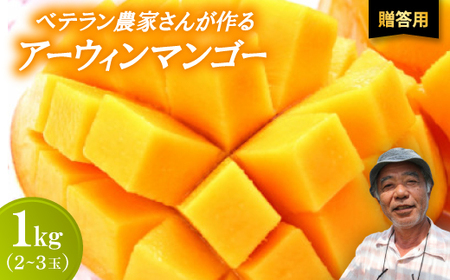 【2026年7月から順次発送・贈答用】ベテラン農家さんが作る アーウィンマンゴー1kg(2～3玉)【配送不可地域：離島】【1695284】