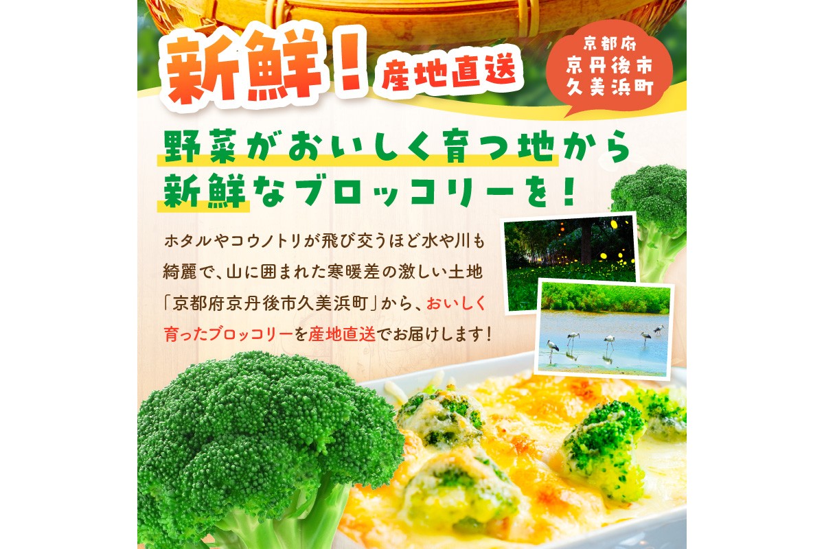 【先行予約】もりもり！ブロッコリー 約2kg（2025年11月中旬～発送）　MY00005