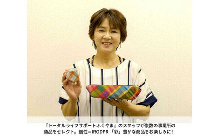 手作りおやつ お菓子 「IRODORI『彩』」スイーツセレクション 広島県福山市/一般社団法人トータルライフサポートふくやま 焼き菓子 焼菓子 クッキー 詰め合わせ 詰合せ セット [BABK006]