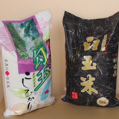 令和7年産　勾玉米5kg・臼玉米5kg食べくらべセット【1225806】