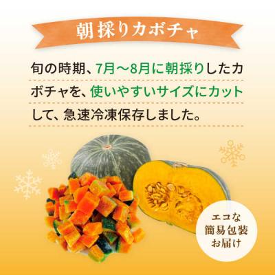 ふるさと納税 糸島市 カボチャ 500g 冷凍カット済み 福岡県糸島産 オーガニックナガミツファーム [AGE041] |  | 01