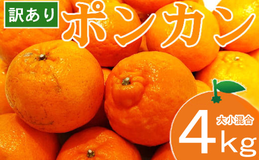 
            【 数量限定 】 ぽんかん 4kg 柑橘 かんきつ フルーツ 果物 訳あり わけあり 家庭用 大小混合 黒点あり キズあり 傷あり 規格外 大小混合 甘い 濃厚 旬のフルーツ 冬の果物 冬ギフト 産地直送 農家直送 おやつ 朝食フルーツ 人気 期間限定 高知県 室戸市
          