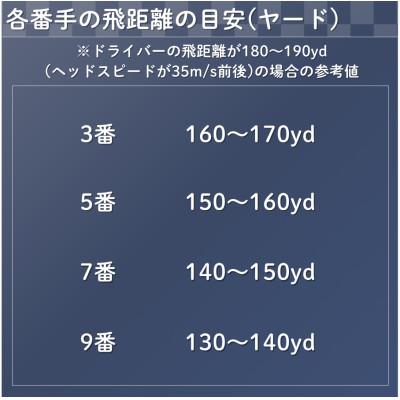 ふるさと納税 小山市 ゴルフクラブ　ユーティリティ　FX-revival　#7　フレックスLD　【特別仕様】 |  | 03