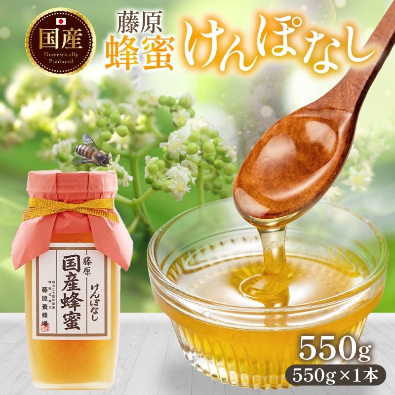 【ふるさと納税】藤原国産蜂蜜 けんぽなし 550g はちみつ ケンポナシ 玄圃梨 国産 単花蜜 朝しぼり 完熟 ハチミツ パン 菓子 トースト ホットケーキ ヨーグルト 調味料 隠し味 お取り寄せ ポリ容器 常温 常備 送料無料 藤原養蜂場 岩手県 盛岡市