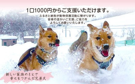 【野犬の保護活動】浜中町「ドッグレスキューしおんの会」を支援　10000円分  NPO法人 動物 犬 返礼品なし_H0039-006