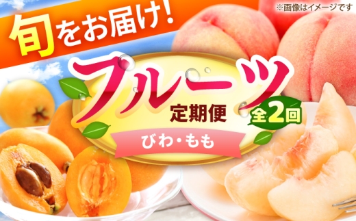【2回定期便】フルーツ定期便（びわ/桃）果物定期便 果物 春フルーツ 旬 産地直送 フルーツ詰め合わせ 広川町 / JAふくおか八女農産物直売所どろや [AFAB120]