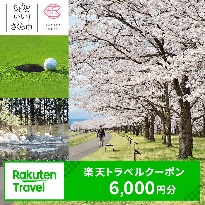 【ふるさと納税】栃木県さくら市の対象施設で使える楽天トラベルクーポン 寄付額20,000円