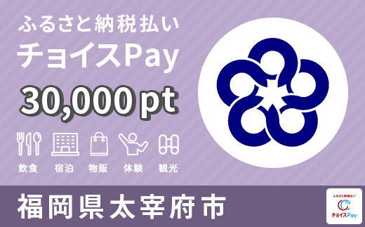 
            太宰府市チョイスPay 30,000pt【会員限定のお礼の品】
          