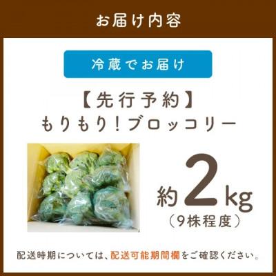 ふるさと納税 京丹後市 【先行予約】もりもり!ブロッコリー約2kg　2026年11月中旬〜順次発送 国産ブロッコリー9株程度 |  | 03