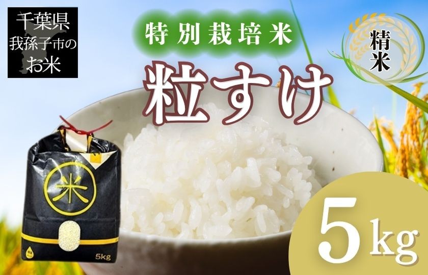 
            千葉県　我孫子市産　特別栽培米　精米　粒すけ　５ｋｇ
          