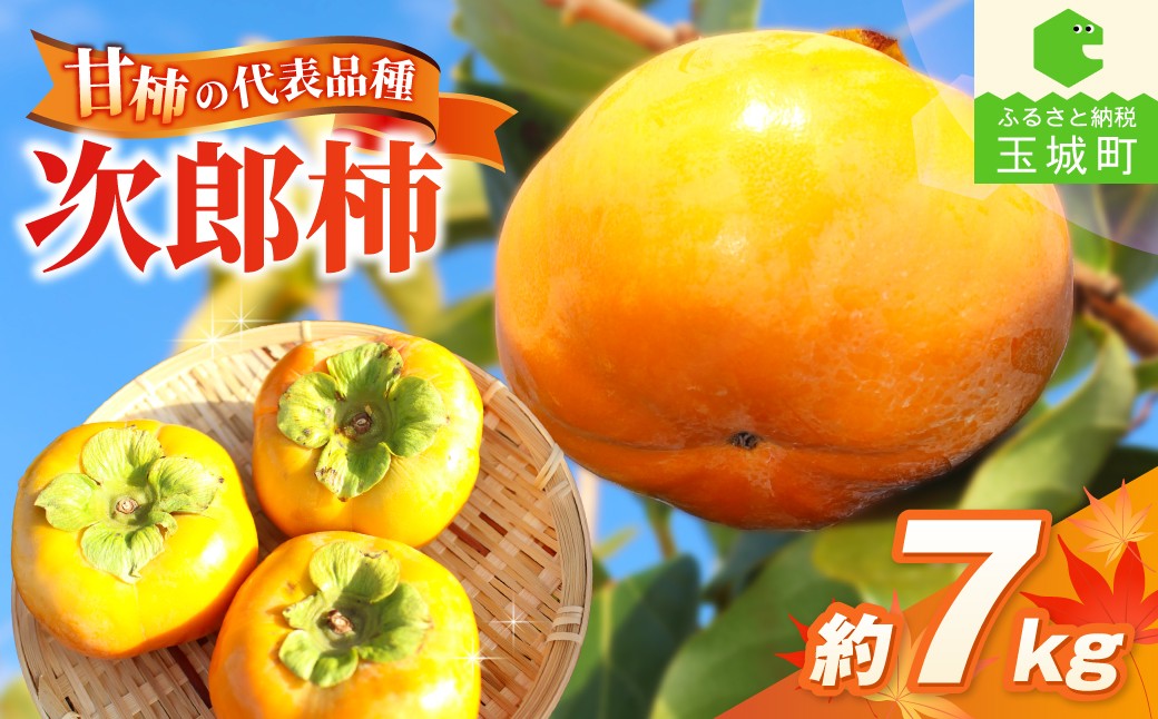 
                  【先行予約】2026年度発送 玉城町産玉城次郎柿 約7kg 【 柿 早生次郎柿 フルーツ 果物 甘柿 2026年10月下旬～11月下旬発送 】
                