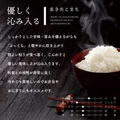 【毎月定期便】秋田県産あきたこまち無洗米20kg(5kg×4)全12回【配送不可地域：離島・沖縄県】