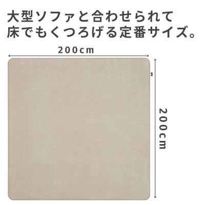 ふるさと納税 和泉市 最大82%の音をカットする防音ラグカーペット「防音専科」ホワイト ベージュ 200×200cm |  | 01
