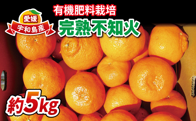 
            不知火 5kg 有機肥料栽培 完熟 ほんとのみかん清家農園 先行予約 しらぬい 高級柑橘 果物 くだもの フルーツ 柑橘 みかん 蜜柑 mikan 高級 愛媛県産 愛媛ミカン 愛媛蜜柑 愛媛みかん 有機肥料 数量限定 産地直送 農家直送 国産 愛媛 宇和島 B018-040001
          