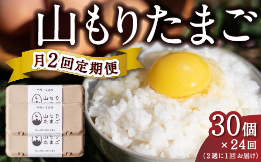 【月2回定期便】山もりたまご 30個 月2回 (2週に1回) 12ヶ月お届け