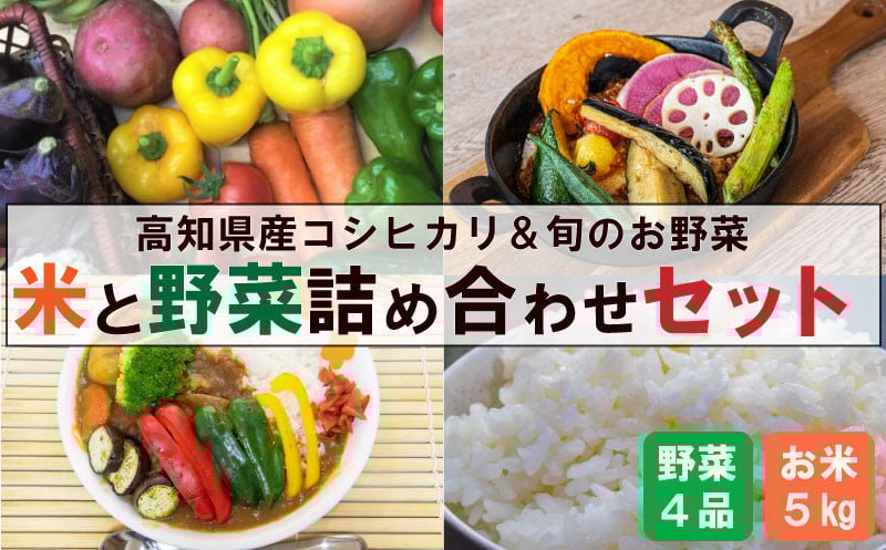 
            【 新米 早期予約 】 8月末から順次発送 米 コシヒカリ 5kg ＆ 野菜 4品 セット ｜ 新鮮 朝採れ 産地直送 白米 精米 ごはん ご飯 野菜 セット 詰め合わせ 産地直送 高知県産 須崎市 NPO001-2x
          
