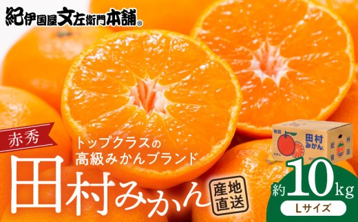 
                  【2026年先行予約】田村みかん／特選ギフト品10kg【Lサイズ】赤秀_V7442
                