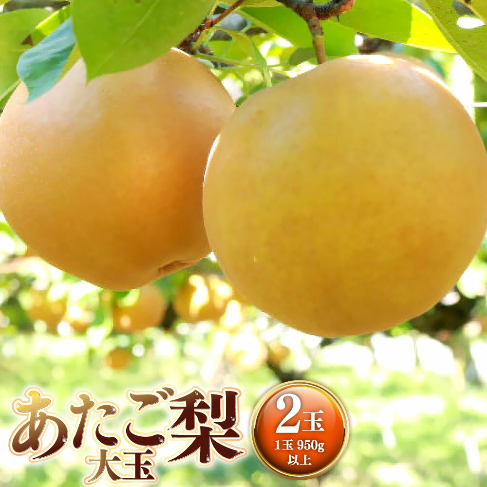【ふるさと納税】あたご梨 大玉2玉（1玉950g以上） 計1,900g以上 梨 なし ナシ 赤梨 フルーツ くだもの 果物 果実 デザート 岡山県産 国産 岡山県 奈義町 送料無料 【2026年11月下旬～12月下旬発送予定】
