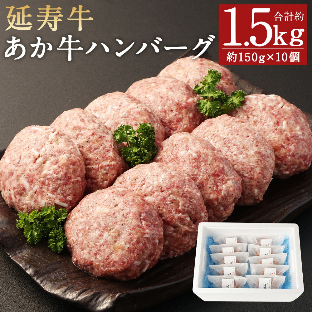 【ふるさと納税】熊本県産 延寿牛 あか牛 ハンバーグ 約150g×10個 合計約1.5kg 小分け 個包装 お肉 和牛 ハンバーグ 焼くだけ 熊本県産 九州産 国産 冷凍 送料無料