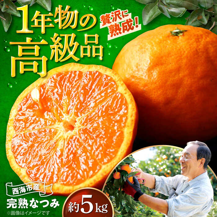 【ふるさと納税】【4月下旬より順次発送】ハウス木成完熟 なつみ ( マンダリン ）約5kg＜原口果樹園＞[CCW006] 長崎 西海 みかん ミカン 蜜柑 果物 柑橘 デザート 果汁 おやつ お土産 プレゼント 甘い ポンカン フルーツ 原口 5kg