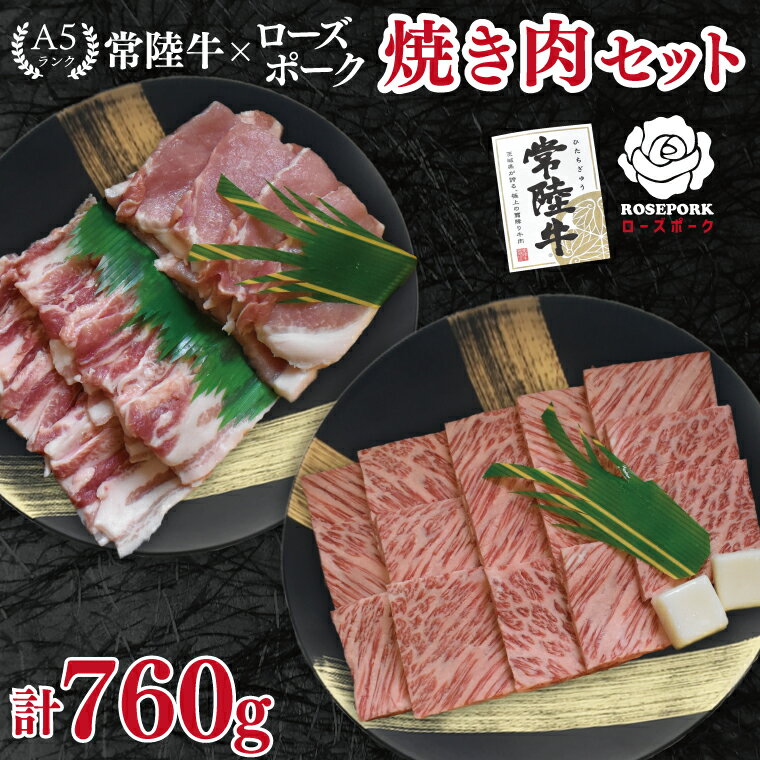 【ふるさと納税】【常陸牛 A5ランク・ローズポーク焼肉セット】常陸牛カルビ360g＋ローズポーク400g（ロース200g・ばら200g） 冷凍 国産牛 和牛 牛肉 豚肉　ブランド豚 茨城県 水戸市 食べ比べ セット商品 国産 BBQ 20000円以内 老舗精肉店 EK-48