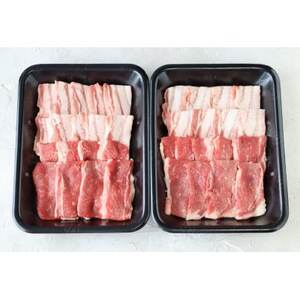 国産牛豚焼肉用盛り合わせ【配送不可地域：離島】【1587673】