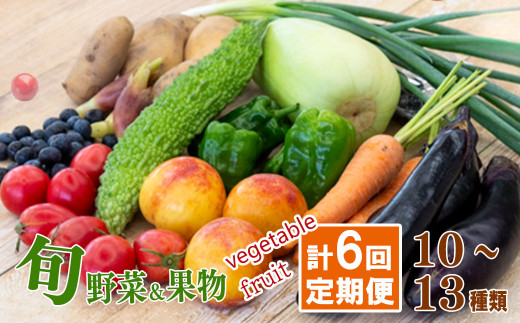 定期便 野菜 6回 野菜定期便 果物 セット 10 ～ 13 種類 | 定期便 フルーツ やさい くだもの フルーツ定期便  セット 旬 春 夏 秋 冬 野菜詰め合わせ 野菜セット 旬 定番野菜 新鮮 国産 季節 きゅうり ピーマン なす トマト 大根 白菜 いちご 柑橘 みかん 頒布会 高知県 須崎市 ME2000_x