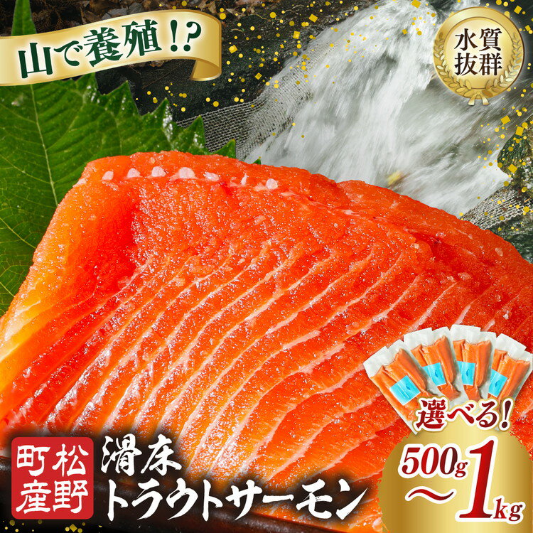 【ふるさと納税】【選べる容量】【森の国で養殖】滑床トラウトサーモン 500g（250g×2P）・1kg（250g×4P） ｜ 刺身 小分け 切り身 ふるさと納税 国産 冷凍 ※離島への配送不可