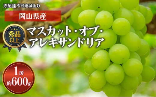 
                  【×】ぶどう 2024年 先行予約 ぶどう マスカット・オブ・アレキサンドリア 1房 600g以上 秀品以上 化粧箱入り ブドウ 葡萄  岡山県産 国産 フルーツ 果物 ギフト 
                