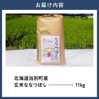 ふるさと納税 当別町 【令和7年産】玄米ななつぼし11kg_tb11-017 |  | 01