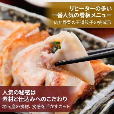 ふるさと納税 本巣市 ぎふ夢餃子ミックス 80個(40個入り×2袋) 生冷凍 |  | 02
