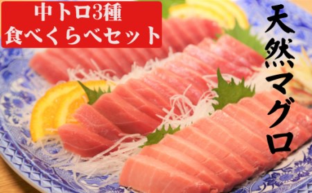 天然マグロ中トロ３種食べくらべセット（本マグロ、ミナミマグロ、メバチマグロ　中トロ各１柵） _mh017