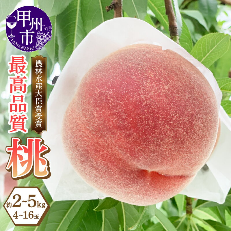 【ふるさと納税】 桃 選べる内容量 約2kg 約3kg 約5kg 4～16玉 果物 もも 大藤の桃 白鳳・白桃系 フルーツ 果実 デザート 2025年発送 朝どれ 採れたて 新鮮 産地直送 ジューシー 山梨県 甲州市産 数量限定 期間限定 最高品質 6月 7月 8月 9月 発送 贈答 ギフト 家庭用 (LMS)