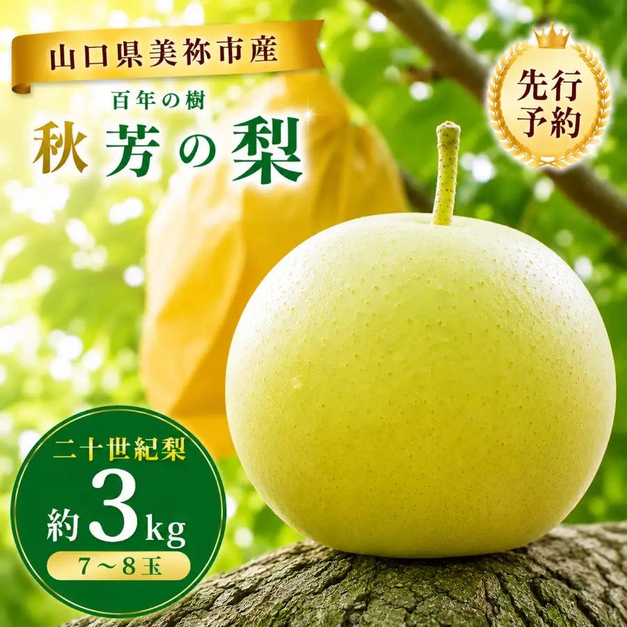 美祢市 二十世紀梨 （約3kg）