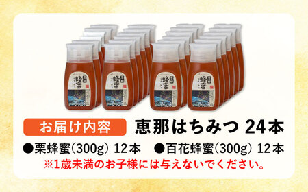 恵那蜂蜜24本セット(百花300g12本、栗300g12本)【1526560】