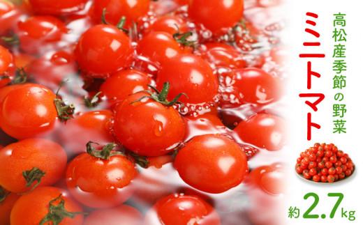 ミニトマト約2.7kg【2025-11月上旬～2026-6月中旬配送】 372013_T006-032J