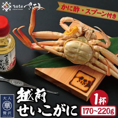 ふるさと納税 越前町 浜茹で越前せいこがに約170〜220g1杯　かに酢&amp;かにスプーン付き