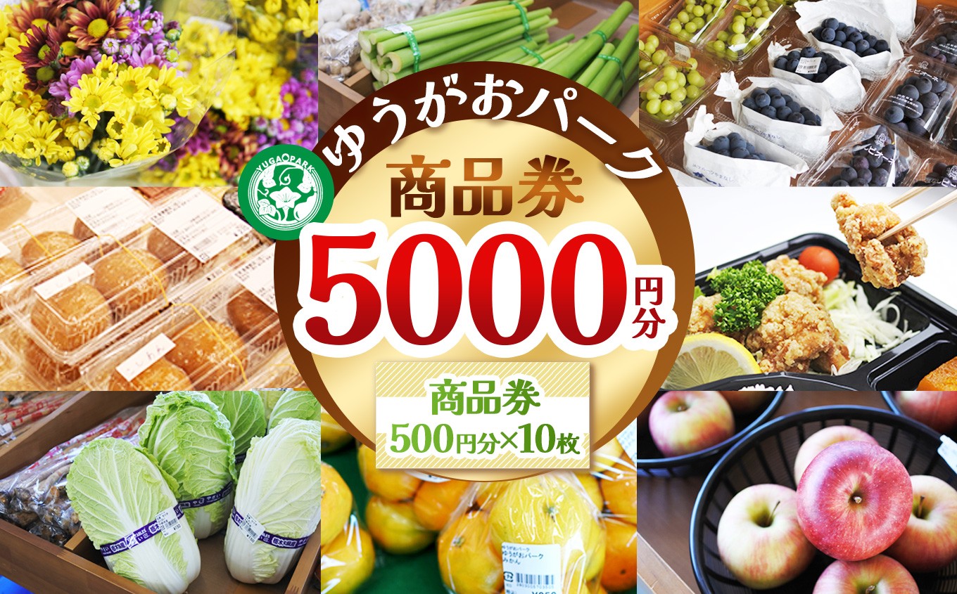 
                  ゆうがおパーク商品券 5,000円分 | 商品券 農産物直売所 ギフト券 産直ギフト 地元野菜 地元応援 新鮮野菜 特産品 プレゼント 野菜直売所 農家 栃木県 下野市
                
